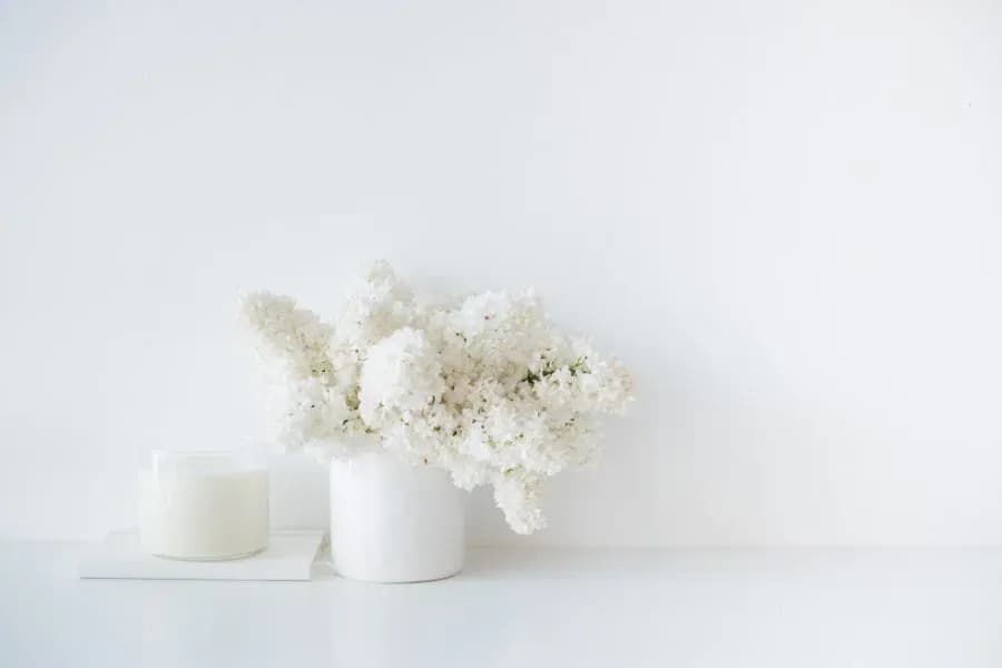 Wohnaccessoires-Trends 2025 